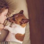Pet friendly hotels