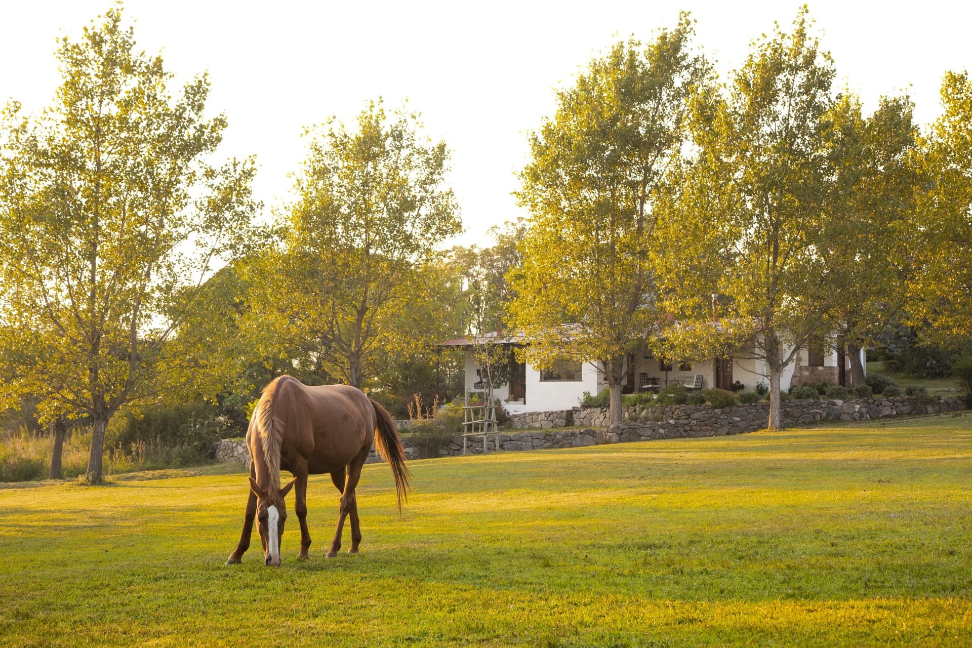 Estancia Los Potreros