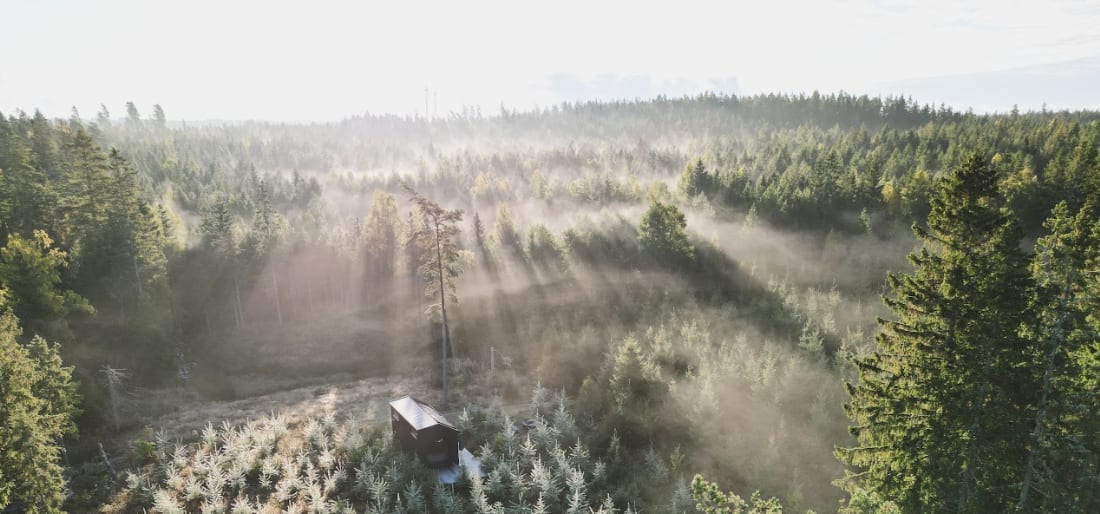 Inforest