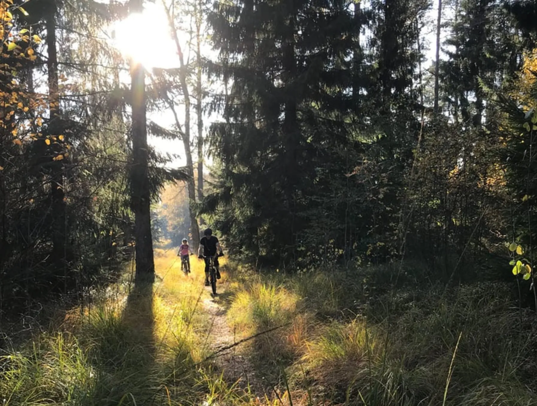 Vallåsens Värdshus